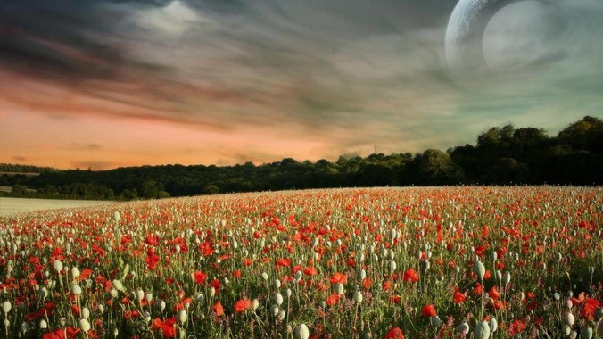 为什么中国开发不出流行的编程语言？